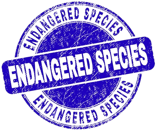 Classification clikeble logo