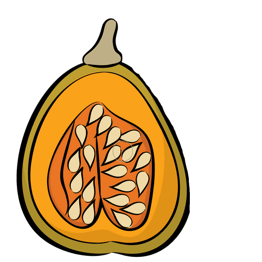 picture of fruit anatomy